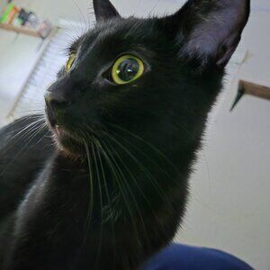 Meet your Posher, Randi